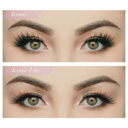 House of Lashes - Iconic Lite (Versus Normal Iconic)